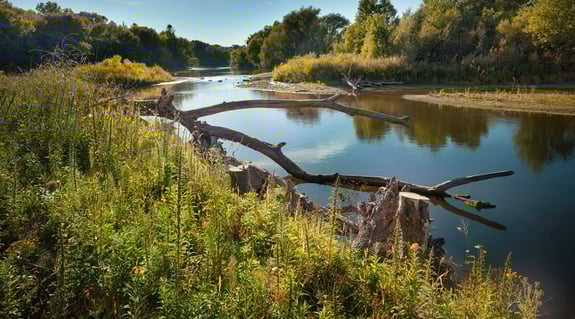 NEPA 101 – How Environmental Review Creates Better Projects