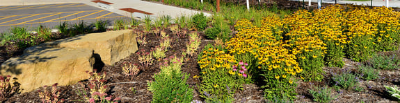 Landscape Architecture