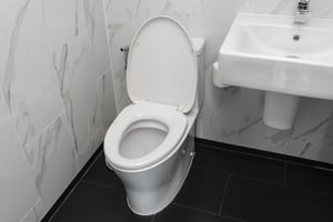 Toilet Flushing