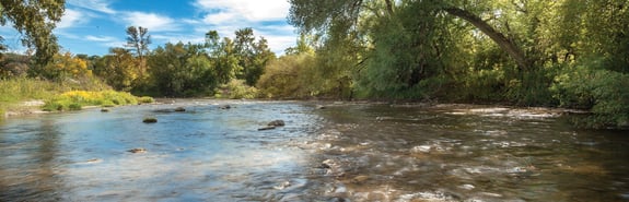 Sheboygan River Habitat Restoration
