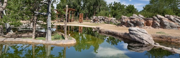 Stunning Denver Eco Design Projects image