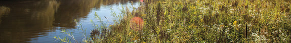 Watershed Engineering