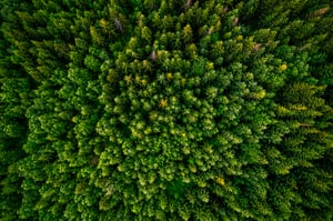 Sustainable